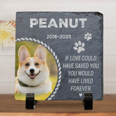 8c0a4010-fc5a-4ba9-a267-854caf092a76