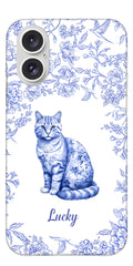 Iphone 16& 16plus_upscayl_5x_realesrgan-x4plus